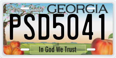 GA license plate PSD5041