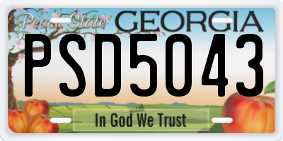 GA license plate PSD5043