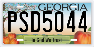 GA license plate PSD5044