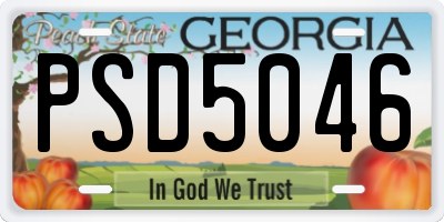 GA license plate PSD5046
