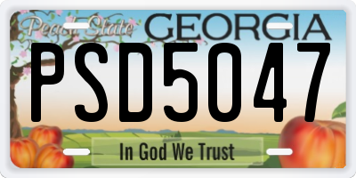 GA license plate PSD5047