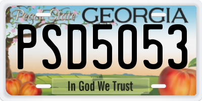 GA license plate PSD5053