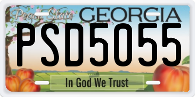 GA license plate PSD5055