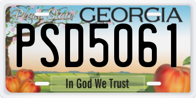 GA license plate PSD5061
