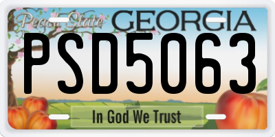 GA license plate PSD5063