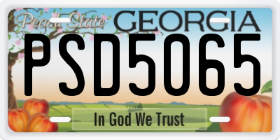 GA license plate PSD5065