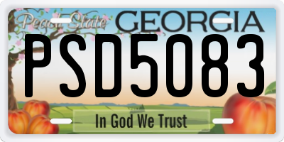GA license plate PSD5083