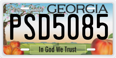 GA license plate PSD5085