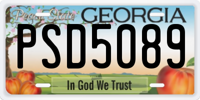 GA license plate PSD5089