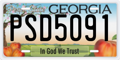 GA license plate PSD5091