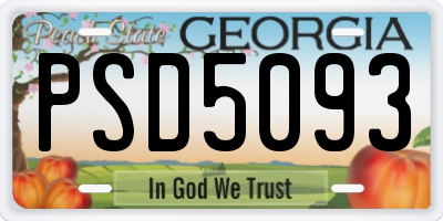 GA license plate PSD5093