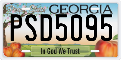 GA license plate PSD5095