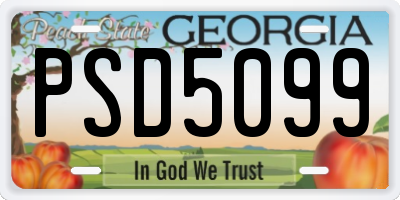 GA license plate PSD5099
