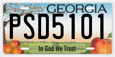 GA license plate PSD5101