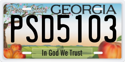 GA license plate PSD5103