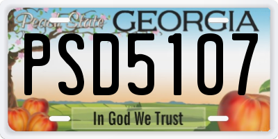 GA license plate PSD5107