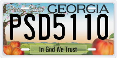 GA license plate PSD5110