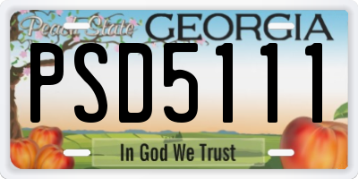 GA license plate PSD5111