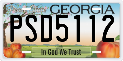GA license plate PSD5112