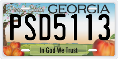 GA license plate PSD5113
