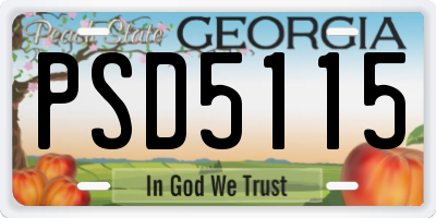 GA license plate PSD5115