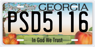 GA license plate PSD5116