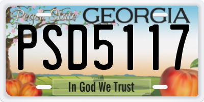 GA license plate PSD5117