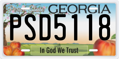 GA license plate PSD5118