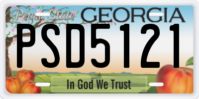 GA license plate PSD5121