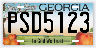 GA license plate PSD5123