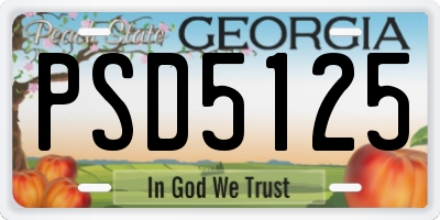 GA license plate PSD5125