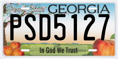 GA license plate PSD5127