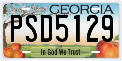 GA license plate PSD5129