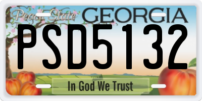 GA license plate PSD5132