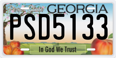 GA license plate PSD5133
