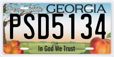 GA license plate PSD5134