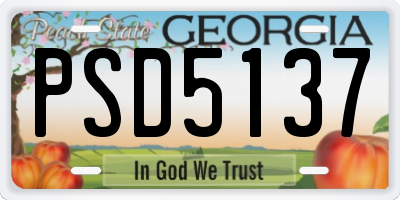 GA license plate PSD5137