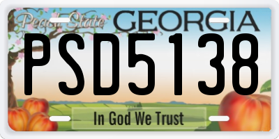 GA license plate PSD5138