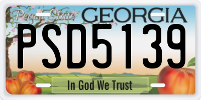 GA license plate PSD5139
