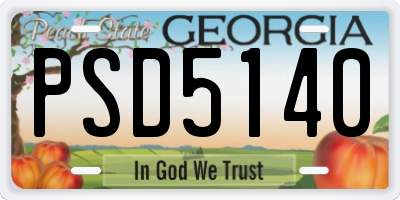 GA license plate PSD5140