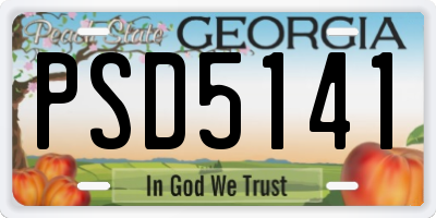 GA license plate PSD5141