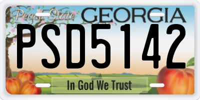 GA license plate PSD5142