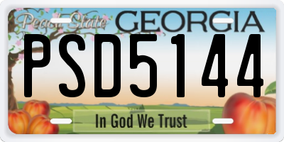 GA license plate PSD5144