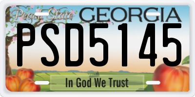 GA license plate PSD5145