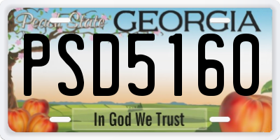 GA license plate PSD5160