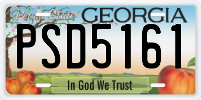 GA license plate PSD5161