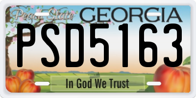 GA license plate PSD5163