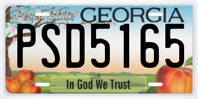 GA license plate PSD5165