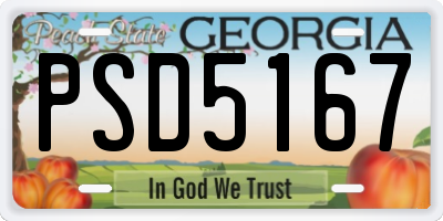 GA license plate PSD5167