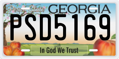GA license plate PSD5169
